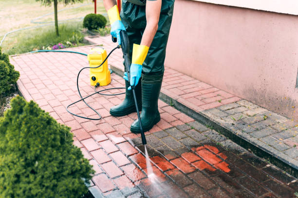 Best Fence Cleaning  in Chebanse, IL