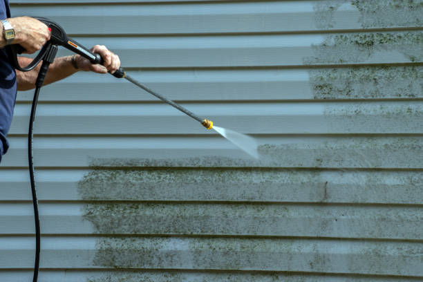 Professional Pressure Washing Services in Chebanse, IL